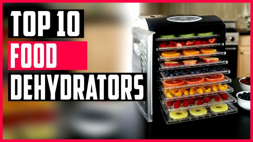 Best Food Dehydrators 2021 | Top 10 Food Dehydrators for Jerky