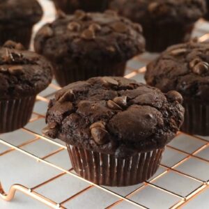 Super Moist Double Chocolate Muffins | Best Recipe