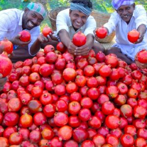 POMEGRANATE JUICE | 100KG Pomegranate Fruits Cutting | Making Fruit Juice in Village | Healthy Drink