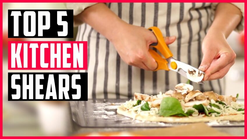 Best Kitchen Shears 2021 | Top 5 Kitchen Scissors