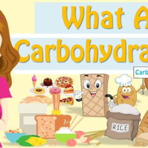 What Are Carbohydrates ? What Is Carbohydrates?
