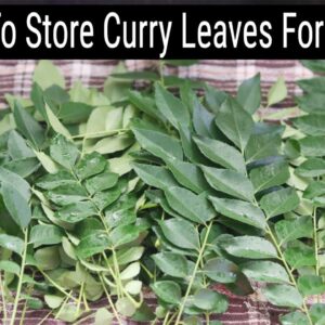 How To Store Curry Leaves For A Month | Skinny Recipes