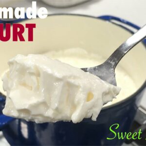 HOW TO MAKE YOGURT AT HOME WITH & WITHOUT A YOGURT STARTER | HOMEMADE YOGURT FROM SCRATCH