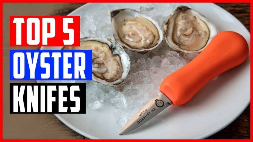 Top 5 Best Oyster Knife in 2021