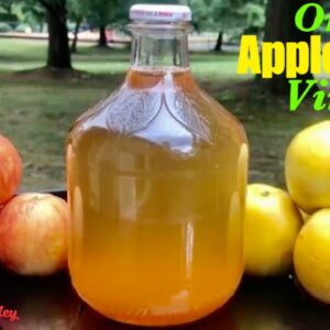 TWO EASY WAYS TO MAKE YOUR OWN HOMEMADE ORGANIC APPLE CIDER VINEGAR WITH THE MOTHER FROM SCRATCH