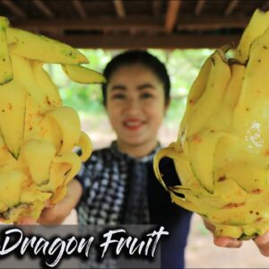 Yellow Dragon Fruit Recipe / Yummy Fried Rice And Dragon Fruit Juice Recipe / Cooking With Sreypov