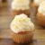 Vanilla Cupcakes Recipe | How to Make Vanilla Cupcakes