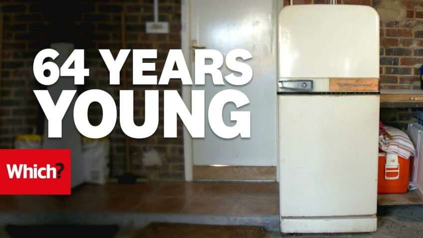 Vintage fridge vs modern: built to last? – Which?