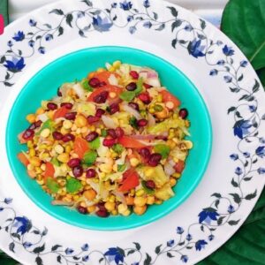 Protein salad||mixed pulses salad recipe||instant indian salad||healthy nutrients indian salad|hindi