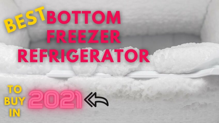 Best Bottom Freezer Refrigerator To Buy In 2021