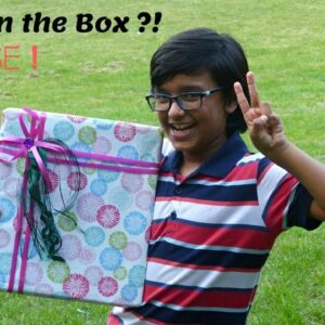 Surprise gift Box for you all….! Tiffin Box