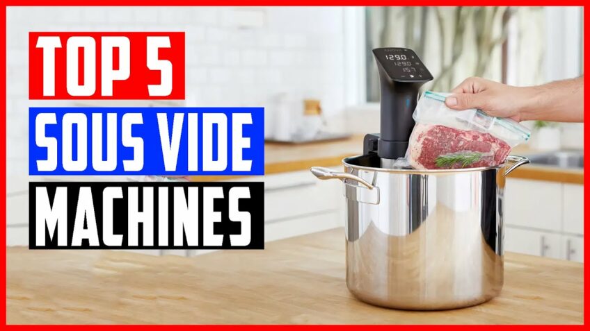 Best Sous Vide Machine 2021 | Top 5 Sous Vide Machine Review