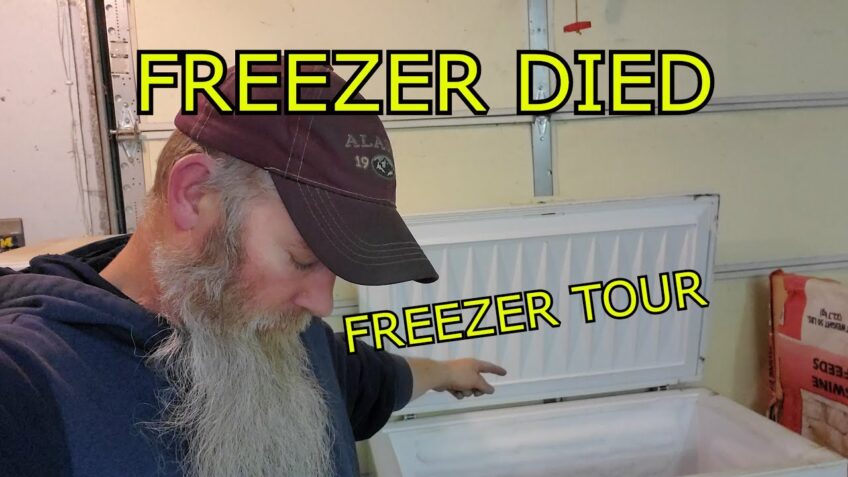 Freezer Died!!  Time To Consolidate Freezers!  Guess It’s A Freezers Tour!