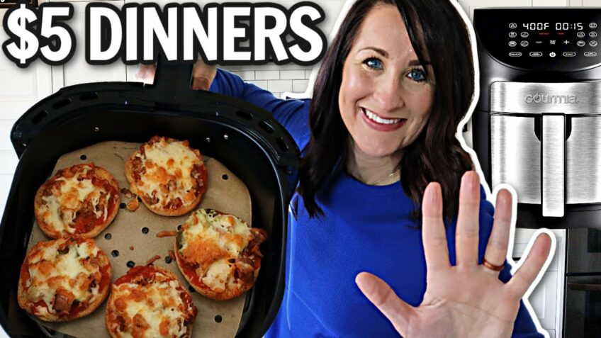$5 DINNERS! Air Fryer Meals that are CHEAP, QUICK and EASY in the GOURMIA Air Fryer