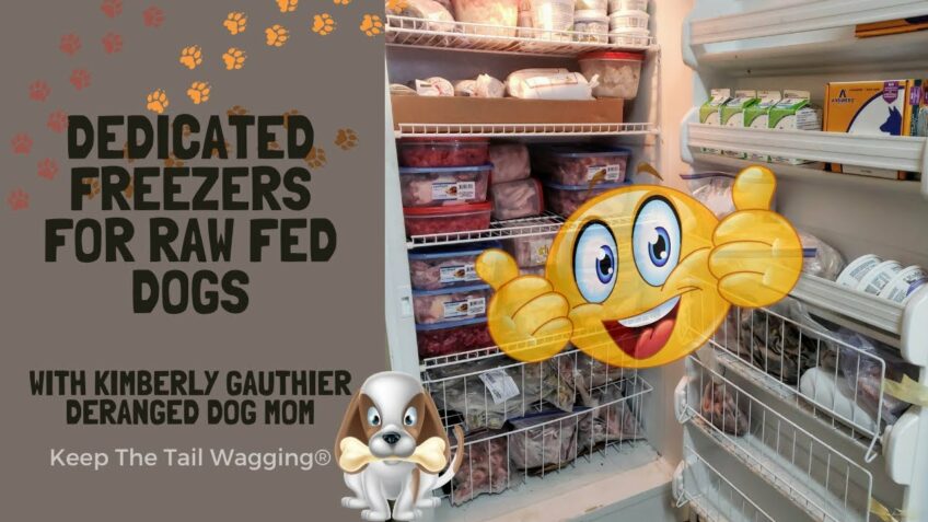 Dedicated Freezers for Raw Fed Dogs | Keep the Tail Wagging Blog