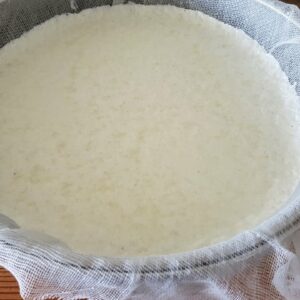 How To Make Homemade Ricotta Cheese