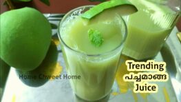 Pachamanga Juice |പച്ചമാങ്ങ Juice| Trending Pachamanga Juice Recipe in Malayalam | Pacha Mango Juice