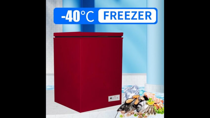 Review 100L freezer fridge Commercial Large Capacity Ultra-low Temperature 2022