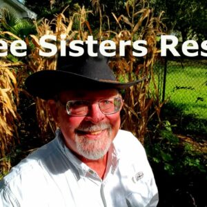 Three Sisters Garden Results – Deep South Texas