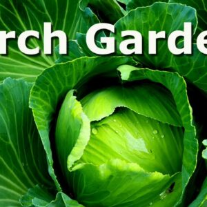 March Garden – Deep South Texas