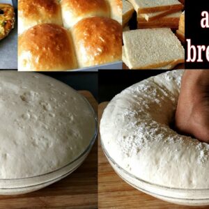 Bakery Style Perfect Bread Dough Recipe | अब पाव,ब्रेड,पिज़्ज़ा,बन्स बनाना बिलकुल आसान।