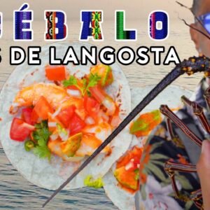 Fresh Caught Lobster Tacos in Mazatlán | Pruébalo with Rick Martinez