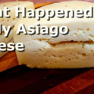 Homemade Asiago Cheese Taste Test