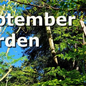 September Garden at Deep South Texas