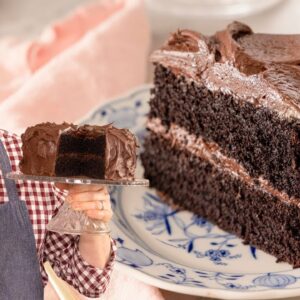 Amazing Devil’s Food Cake Recipe | BEYOND Decadent and Delicious!