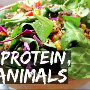 VEGAN SALAD WITH 40g OF PROTEIN?! || RECIPE