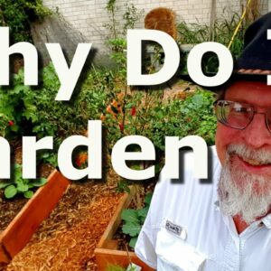 Why Do You Garden   5 Question Tag