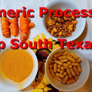 Processing Turmeric   Deep South Texas