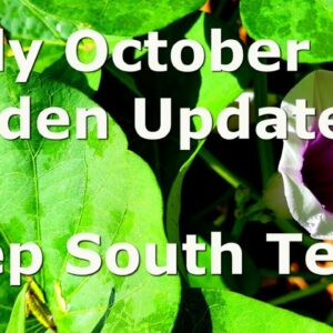 Early October Garden Update