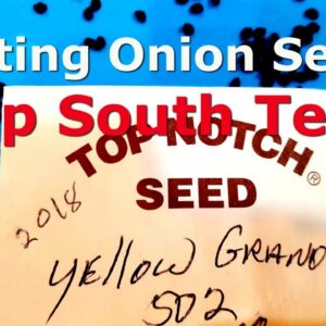 Planting Onion Seeds at Deep South Texas