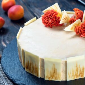 Apricot and Caramelized White Chocolate Mousse Cake