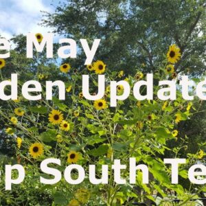 Late May Garden Update at Deep South Texas