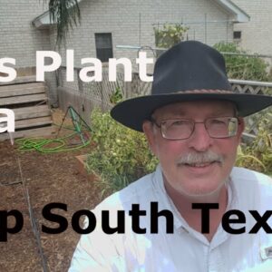 Planting Okra at Deep South Texas