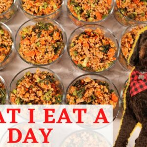 What I feed my puppy | Homemade food for dog | Homemade Healthy FOOD FOR MY PUPPY