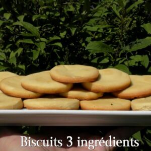 Recette de Biscuits 3 ingrédients facile et rapide