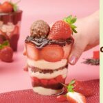 Delicious Chocolate & Strawberry Dessert