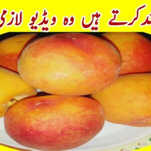 Refreshing Homemade Peach Juice Recipe | Healthy Juice | Easy Summer Drink Ideas | Aroo Ka Sharbat