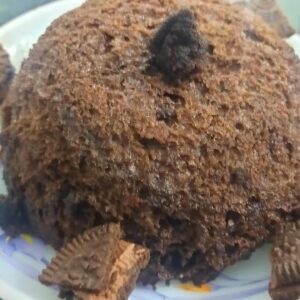 Oreo biscuit cake/few minutes recipe/few ingredients #instantandhealthy #creativerecipe