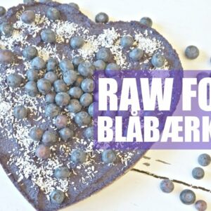 Raw food blåbærkake oppskrift – Helene Ragnhild