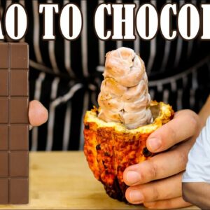 Making Chocolate from Fresh Cacao Pods | And This What Happened