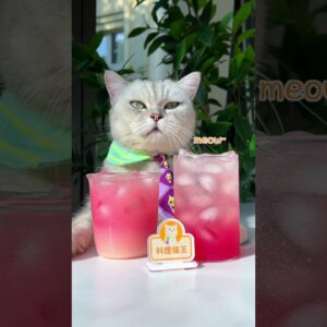 😉The Best Way To Make Pomegranate Juice! | Chef Cat Cooking #tiktok #Shorts