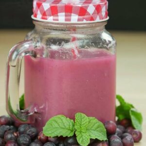 Refreshing and healthy Falsa Juice Recipe – Food Fusion