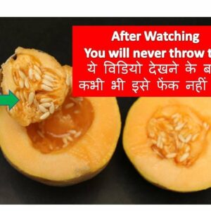 Never Throw Melon Seeds !! Leftover Melon Seeds Juice | Musk Melon Juice Recipe