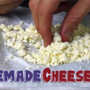 World’s EASIEST Homemade CHEESE recipe (3 Ingredients!)