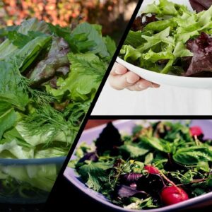 Mesclun Salad Recipe –  Healtiest Green Salad Recipe – Easy Mesclun Salad Recipe